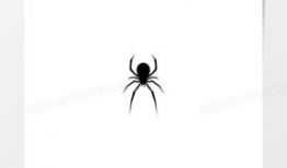 动漫蜘蛛,穿梭时空的神秘织网者