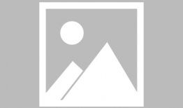 吃瓜群爆料网红小说,揭秘网红小说背后的真实故事